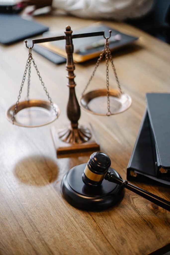 DSI: Leyes y justicia
