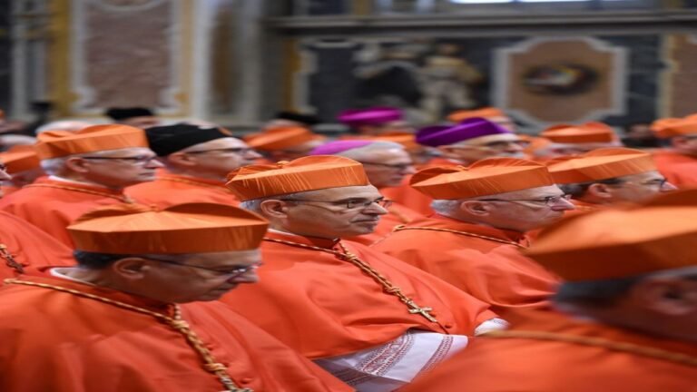 León XIV convoca a los cardenales: ¿Por qué un Consistorio ahora?